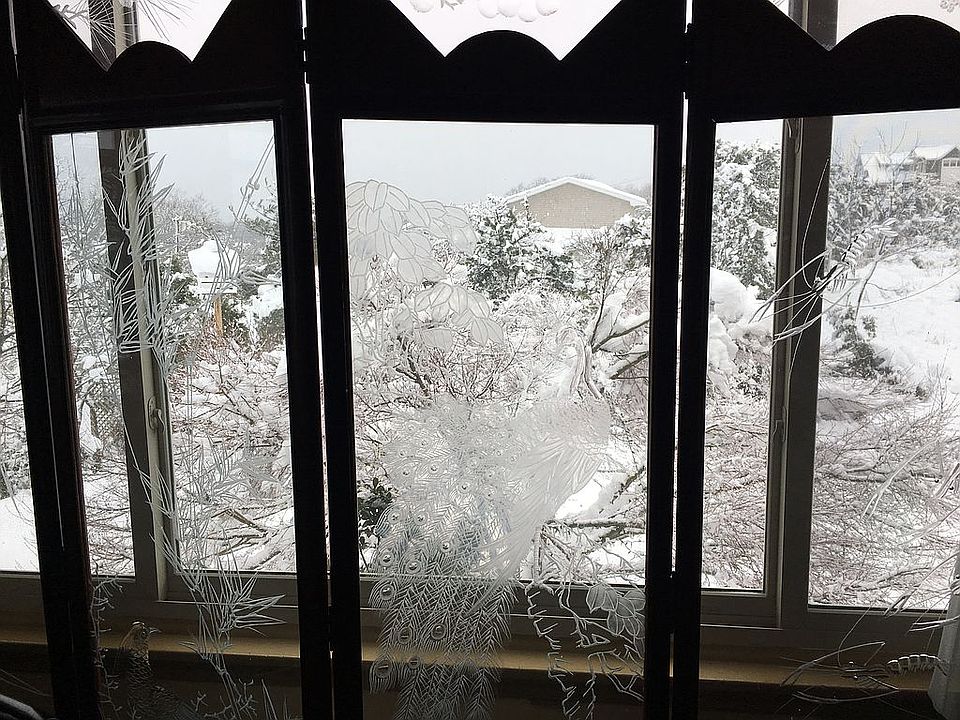 2nd image of 13 Penzance Rd