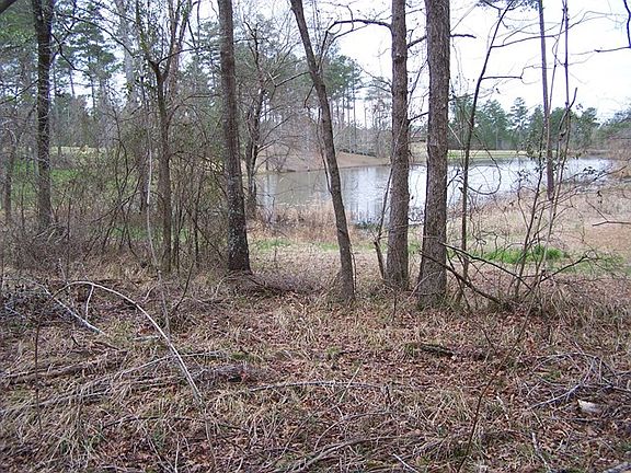 2nd image of 310 Peter Carnes Dr