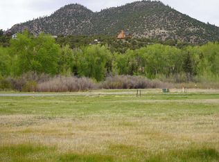 48 Iron Bridge Pl, South Fork, CO 81154