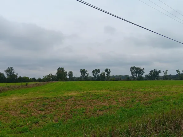 Armada Ridge Rd Lot D, Armada, MI 48005