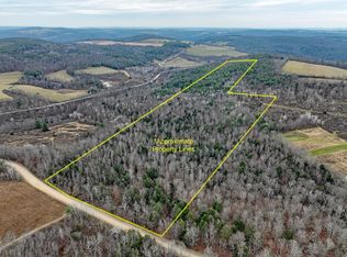 0 Sherwood Rd, Cameron Mills, NY 14820