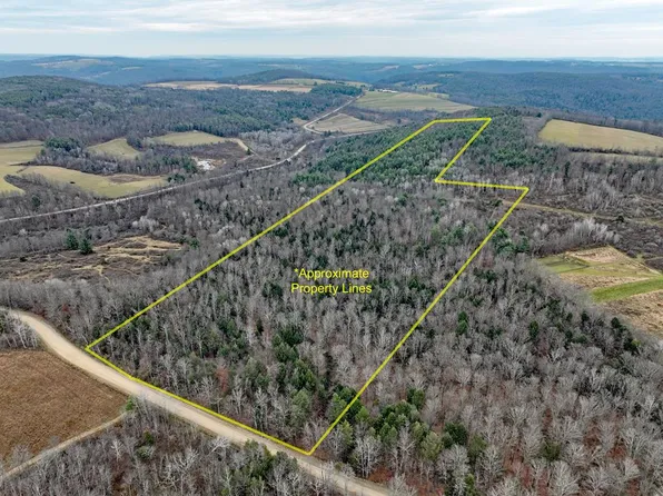 0 Sherwood Rd, Cameron Mills, NY 14820