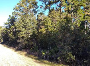 0 Highway 185, Saint George, GA 31562