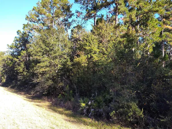 0 Highway 185, Saint George, GA 31562