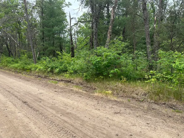 Maloy Ave, Baldwin, MI 49304