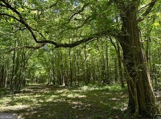 1 Case Rd, Slocomb, AL 36375