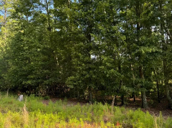 1042 Millies Way Dr, Moncks Corner, SC 29461