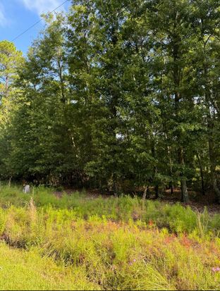 1042 Millies Way Dr, Moncks Corner, SC 29461
