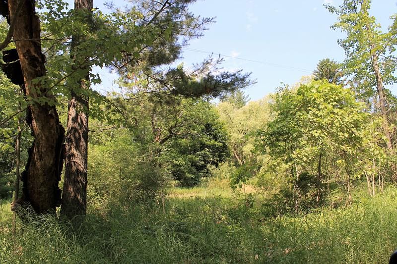 2nd image of 5011 E Wallace Rd