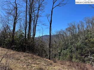 Tall Tree Ln #70, Banner Elk, NC 28604