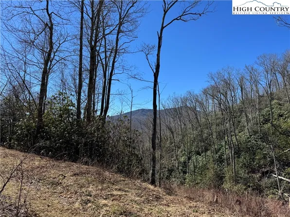 TBD Tall Tree Lane #70, Banner Elk, NC 28604