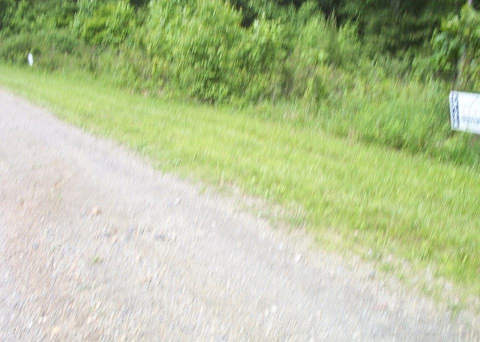 17 Nursery Rd, Laurel Fork, VA 24352 Zillow