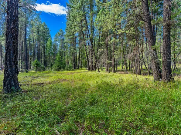 Nhn Kelly Dr, Bigfork, MT 59911