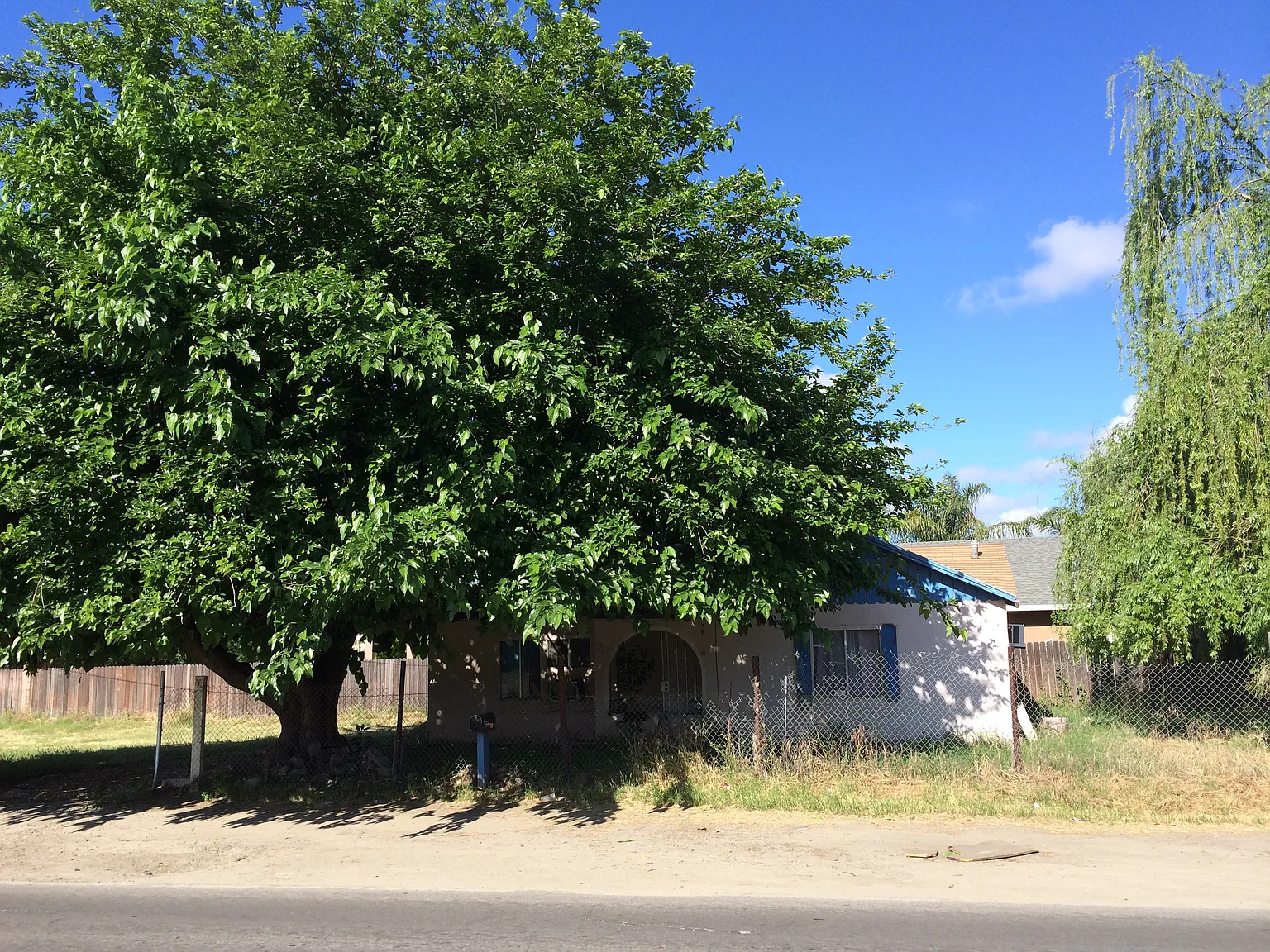 1925 Dallas St photo 1