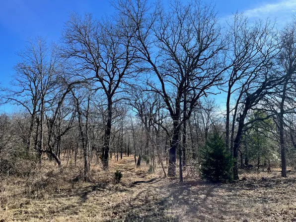LOT 33 Zebra Xing, Larue, TX 75770