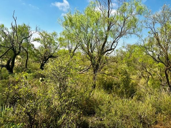 4699 Fm 2319, Loraine, TX 79532