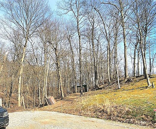 5th image of 795 Keller Ln