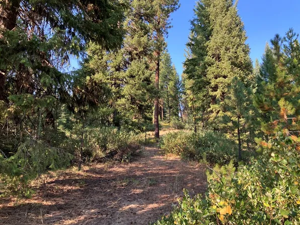 235 Upper Murray Creek Rd, Cascade, ID 83611