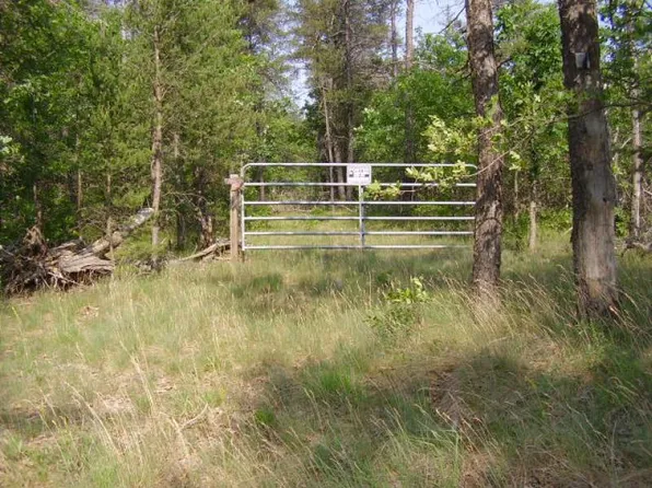S Staley Lake Rd, Grayling, MI 49738