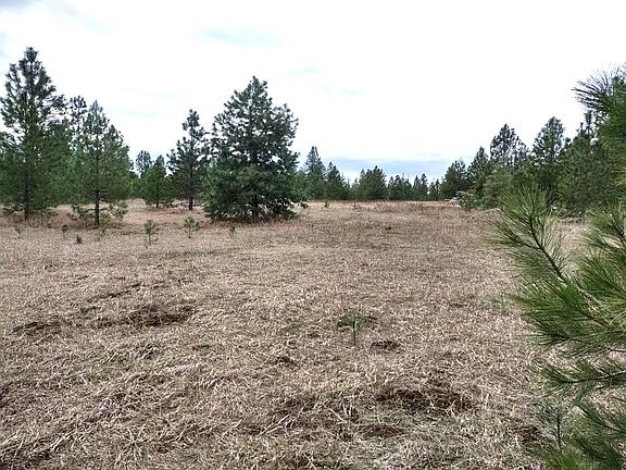 4th image of Xx Lyons Hill Rd