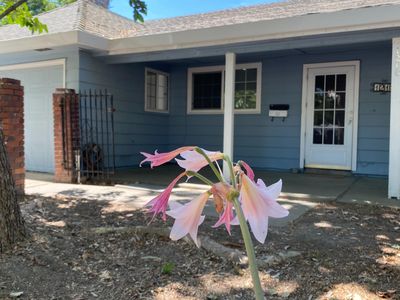 1218 Morse Ct, West Sacramento, CA, 95605
