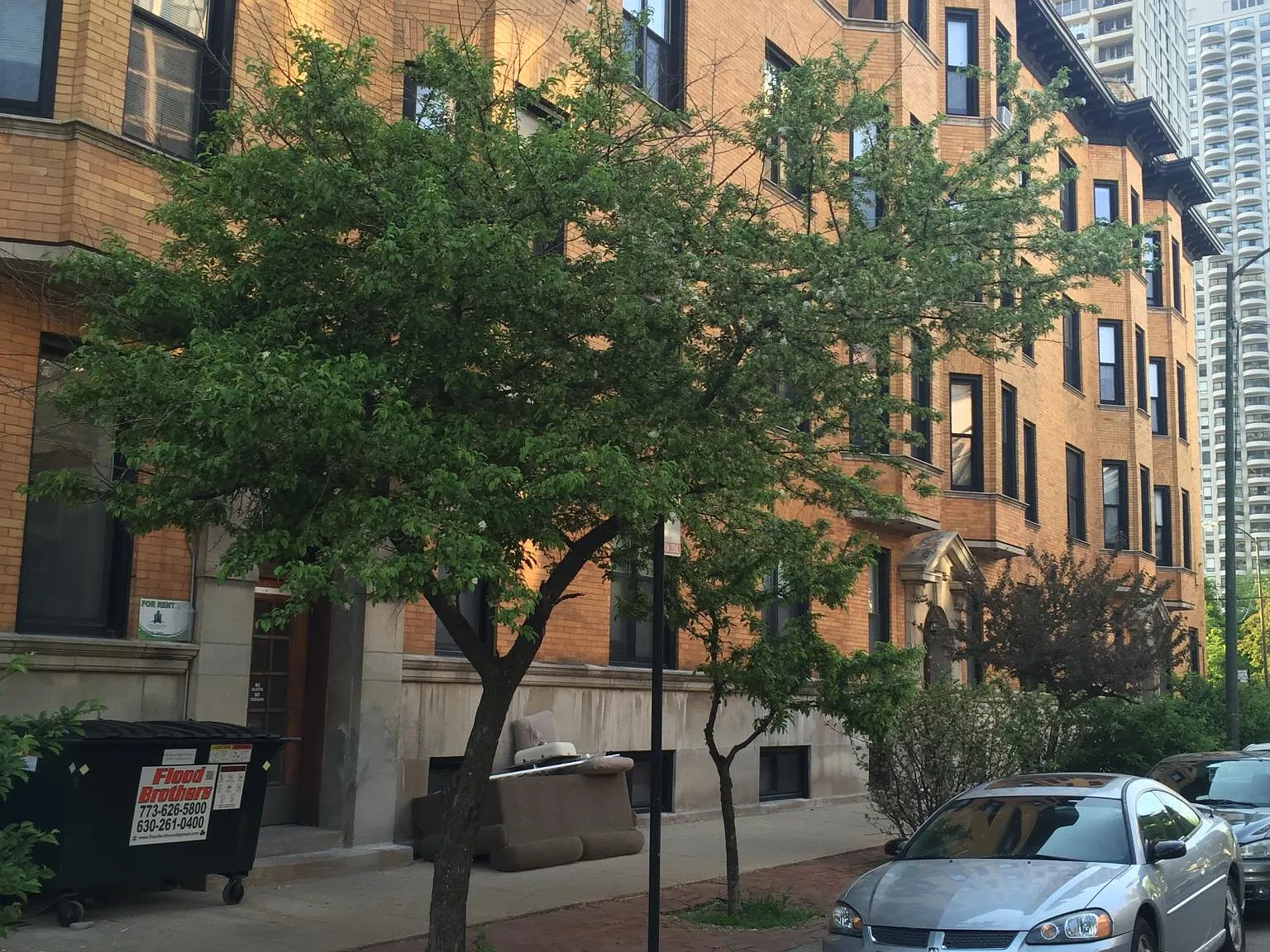 2 bed, 850 sqft, $2,550 — Photo 1