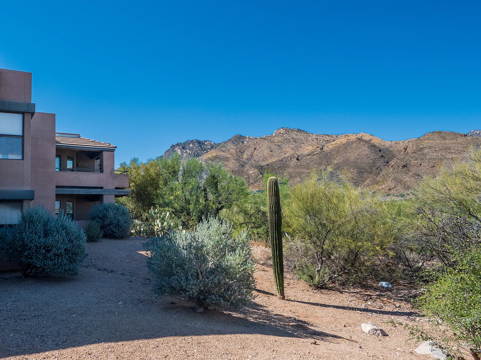 2 bed, 947 sqft, $1,675 — Photo 2