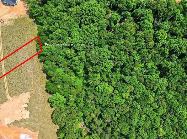 0 Parris Farm Rd Lot 4, Chesnee, SC 29323