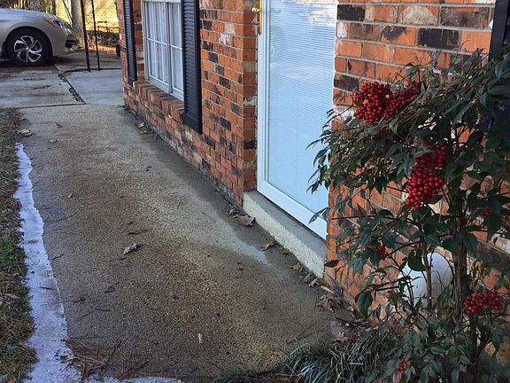 The walkway from the driveway to the front door.