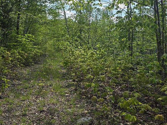 3rd image of Lot 6S Treadwell Hill Road