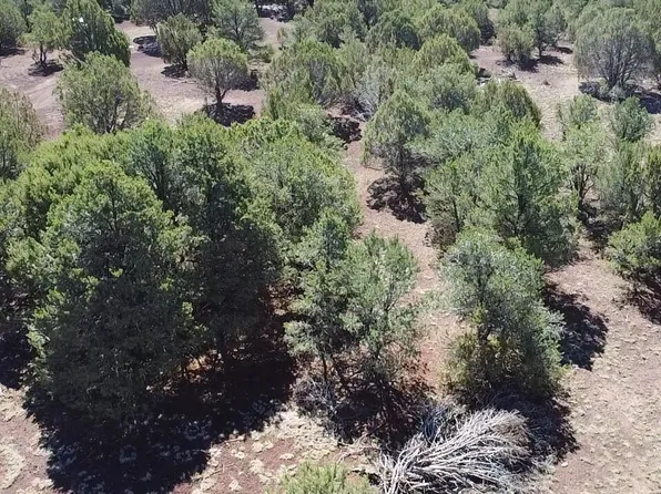 1426 W Antelope Ln, Williams, AZ 86046