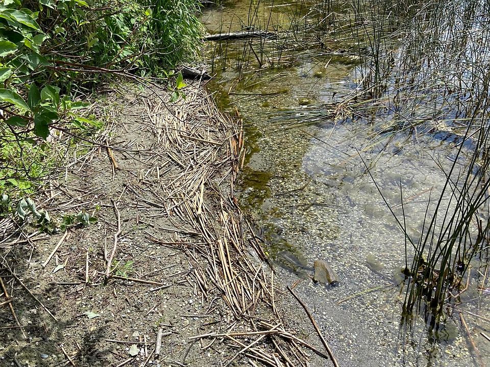 Chippewa Trl, Vining, MN 56588 Zillow