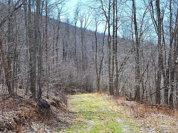 2245 Crowder Rd, Gap Mills, WV 24941