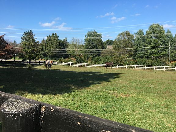 Front paddock looking north.