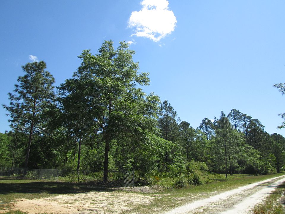 1st image of Nandina Street