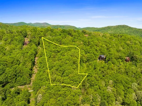 0 Cub Trl, Cherry Log, GA 30522