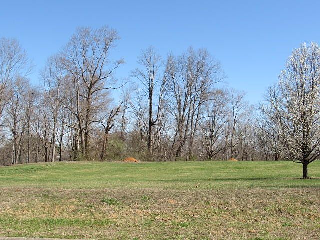 2nd image of 268 Horizon Hill Dr
