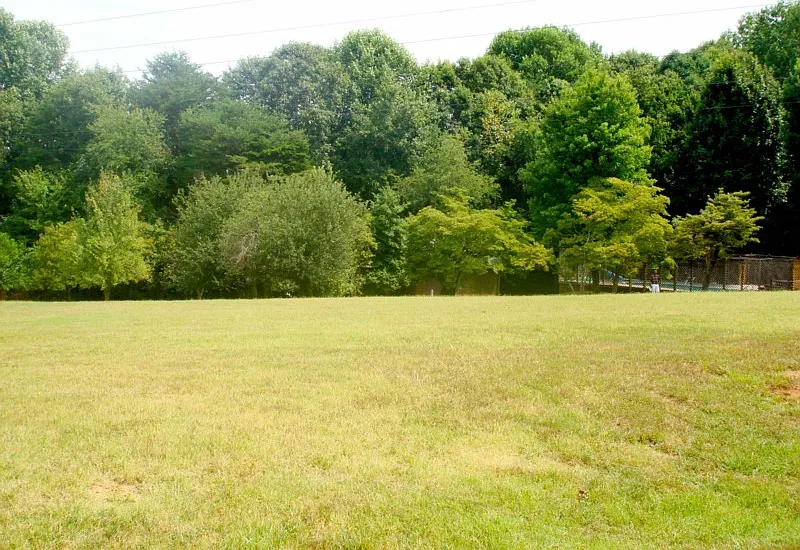 1 bed, 3500 sqft, $900 — Photo 2