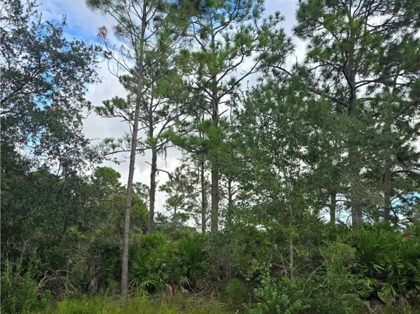 664 Wildcat St NW, Lake Placid, FL 33852