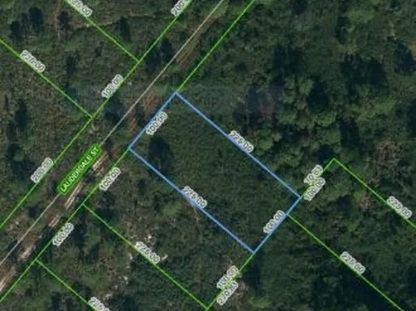613 Lauderdale St, Lake Placid, FL 33852