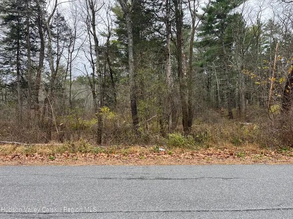 0 All Peat Beds Road, Coxsackie, NY 12051