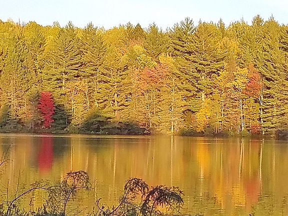 TEMPLE LAKE 10/9/19