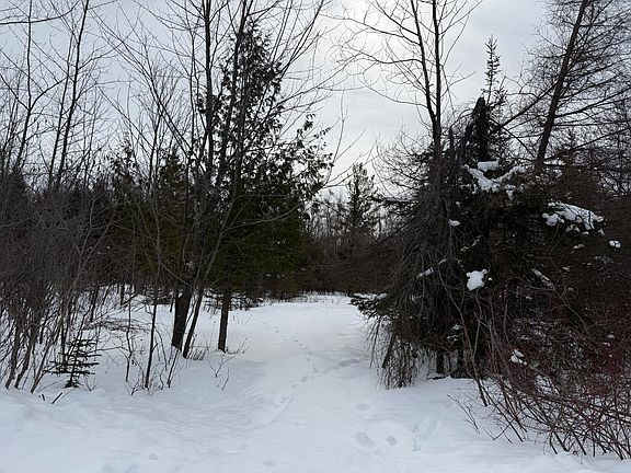 5th image of Abbey Rd