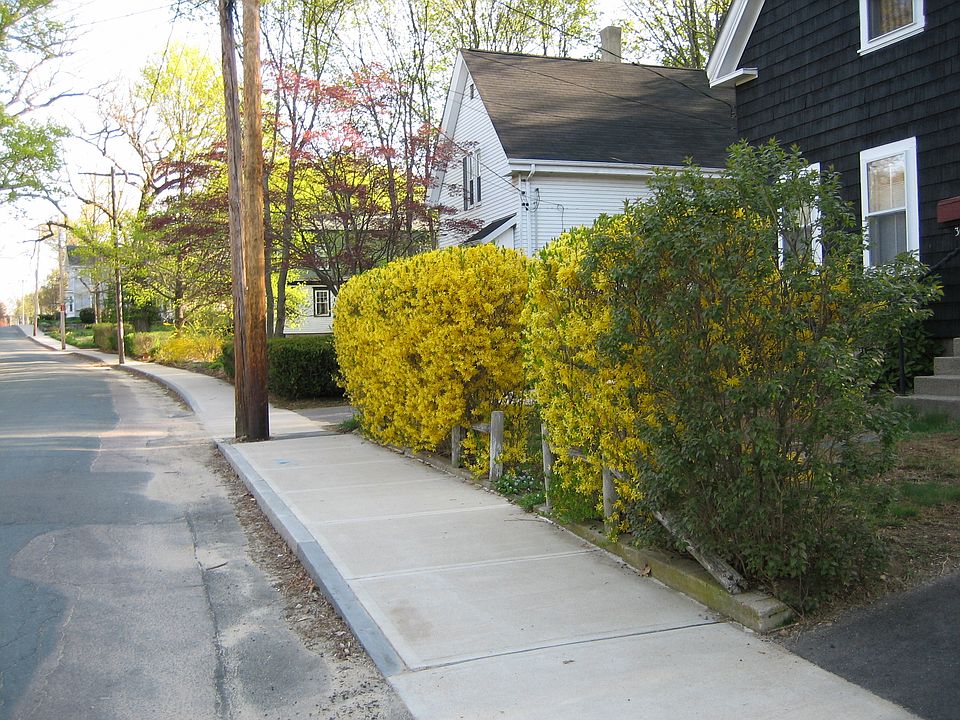 1st image of 30 Barrows St