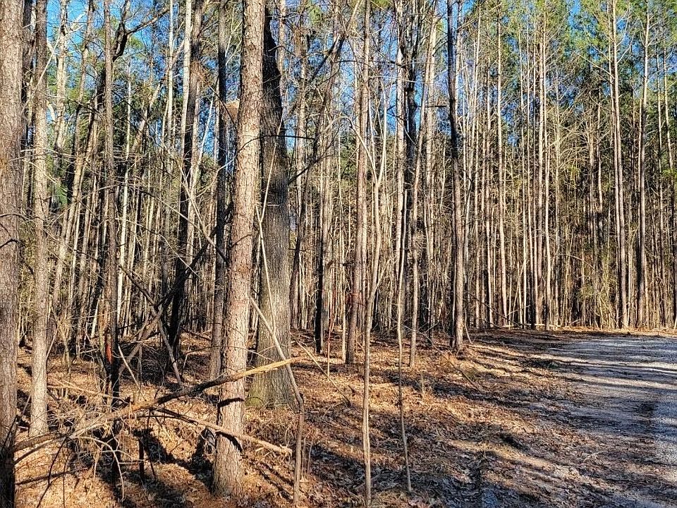 2nd image of LOT 4 Lizard Lick Rd Lot 4