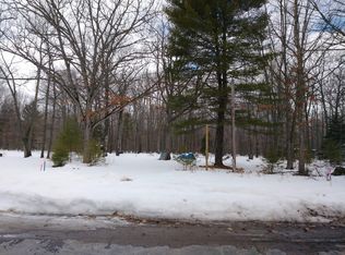 689 Ranch Rd, Indian River, MI 49749