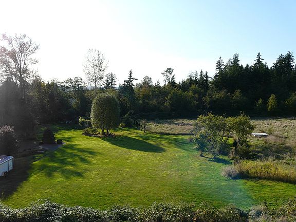 View-W