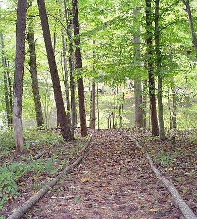 Trail to Pond