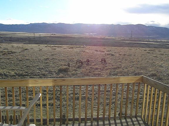 Back Yard View
