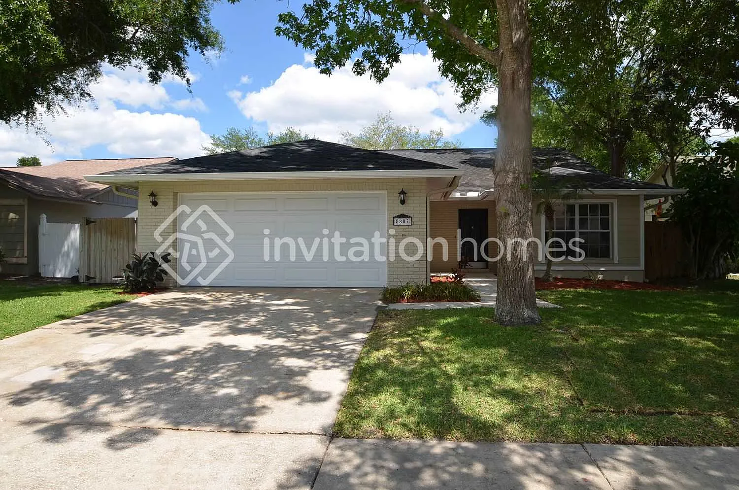 8803 Hampden Dr Tampa, FL 33626 — Photo 1
